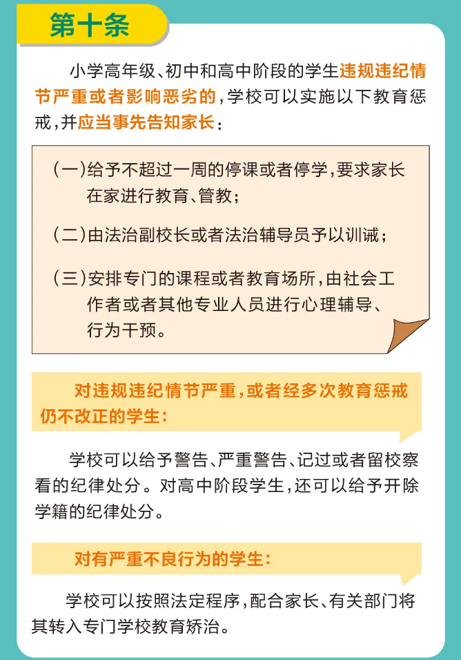 最新惩戒法的实施及其影响